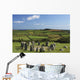 Drombeg Stone Circle Near Glandore In West Cork In Munster Region Wall Mural