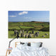 Drombeg Stone Circle Near Glandore In West Cork In Munster Region Wall Mural