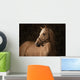Palomino Horse Wall Mural