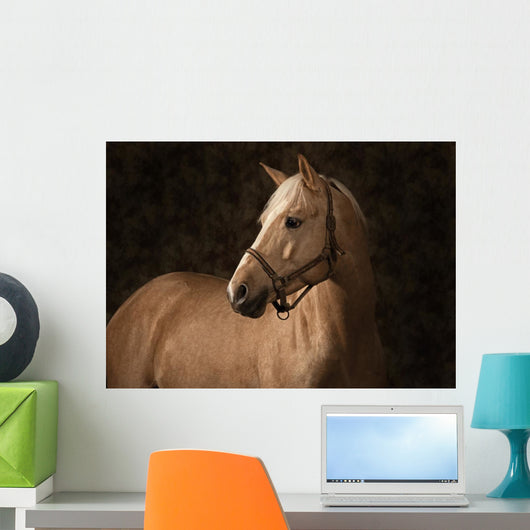 Palomino Horse Wall Mural