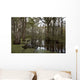 Swamp near New Orleans Wall Decal Design 2