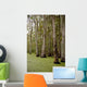 Swamp near New Orleans Wall Decal Design 1