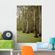 Swamp near New Orleans Wall Decal Design 1