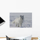 Arctic fox Wall Mural