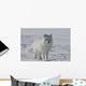 Arctic fox Wall Mural