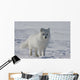 Arctic fox Wall Mural
