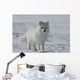 Arctic fox Wall Mural