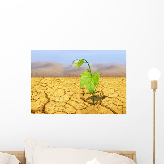 Drought Wall Decal