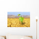 Drought Wall Decal