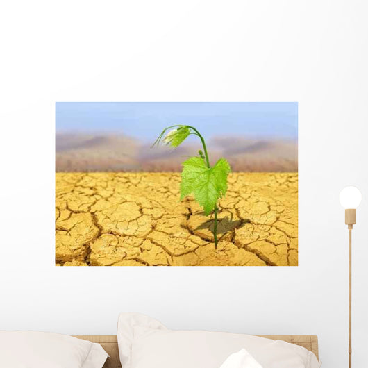 Drought Wall Decal