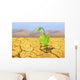 Drought Wall Decal
