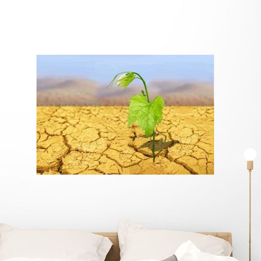 Drought Wall Decal
