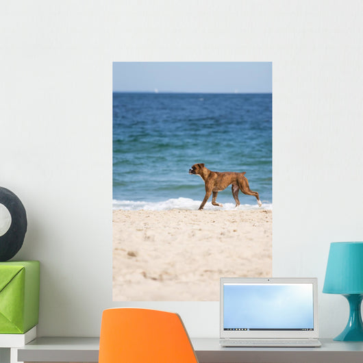 Dog Beach Wall Mural