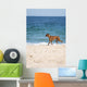 Dog Beach Wall Mural