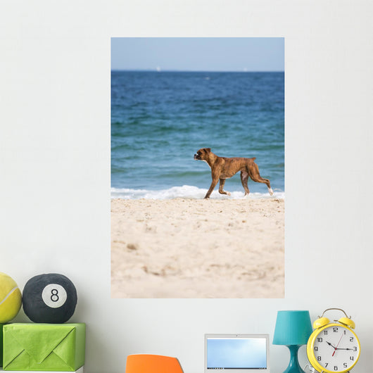 Dog Beach Wall Mural