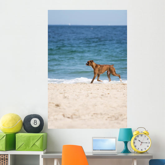 Dog Beach Wall Mural