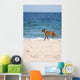 Dog Beach Wall Mural