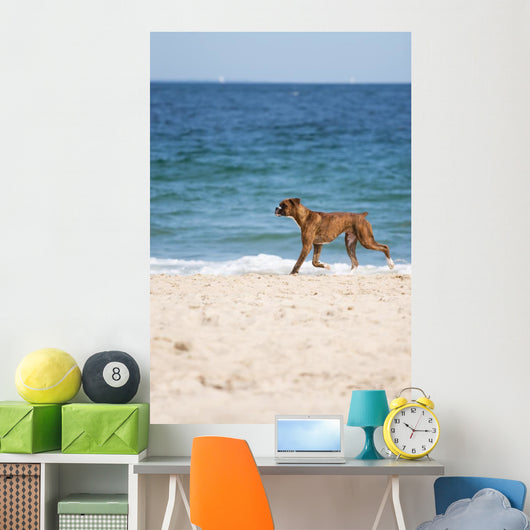 Dog Beach Wall Mural
