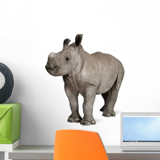 young White Rhinoceros Wall Decal