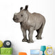 young White Rhinoceros Wall Decal