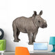 young White Rhinoceros or Square-lipped rhinoceros - Ceratotheri Wall Decal