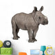 young White Rhinoceros or Square-lipped rhinoceros - Ceratotheri Wall Decal