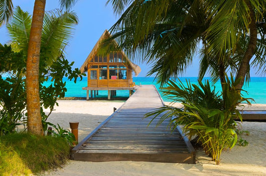 Diving Club on a Tropical Island Wall Mural