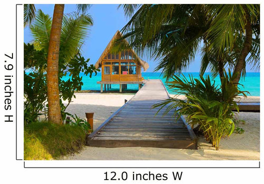 Diving Club on a Tropical Island Wall Mural