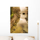 Sunrise Scenery Wall Decal