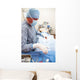 Veterniarian performing sterilization operation on dog Wall Mural