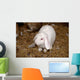 Lapin Blanc Wall Mural