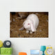 Lapin Blanc Wall Mural