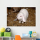 Lapin Blanc Wall Mural