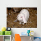 Lapin Blanc Wall Mural