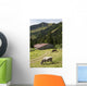 Cattle Grazing On An Alpine Meadow With A Barn And Mountains Wall Mural