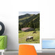 Cattle Grazing On An Alpine Meadow With A Barn And Mountains Wall Mural
