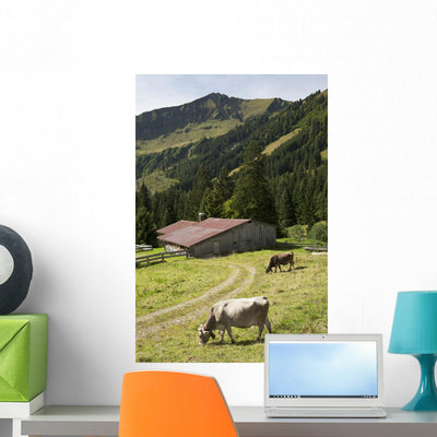 Cattle Grazing Alpine Meadow Wall Mural shown on a wall