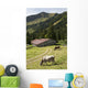 Cattle Grazing On An Alpine Meadow With A Barn And Mountains Wall Mural