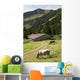 Cattle Grazing On An Alpine Meadow With A Barn And Mountains Wall Mural