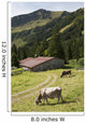 Cattle Grazing On An Alpine Meadow With A Barn And Mountains Wall Mural