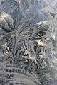 Frost Crystals On A Window Wall Mural