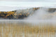 Mist Over A Lake In Autumn Wall Mural