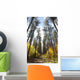 Path Through A Forest In Autumn Wall Mural