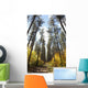 Path Through A Forest In Autumn Wall Mural