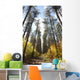 Path Through A Forest In Autumn Wall Mural