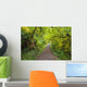 A Trail In Silver Falls State Park Wall Mural