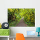 A Trail In Silver Falls State Park Wall Mural