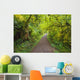 A Trail In Silver Falls State Park Wall Mural