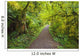 A Trail In Silver Falls State Park Wall Mural
