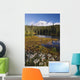 Autumn Colors At Reflection Lake And Mount Rainier Wall Mural